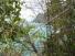 ab22-krabetopislandview2.jpg